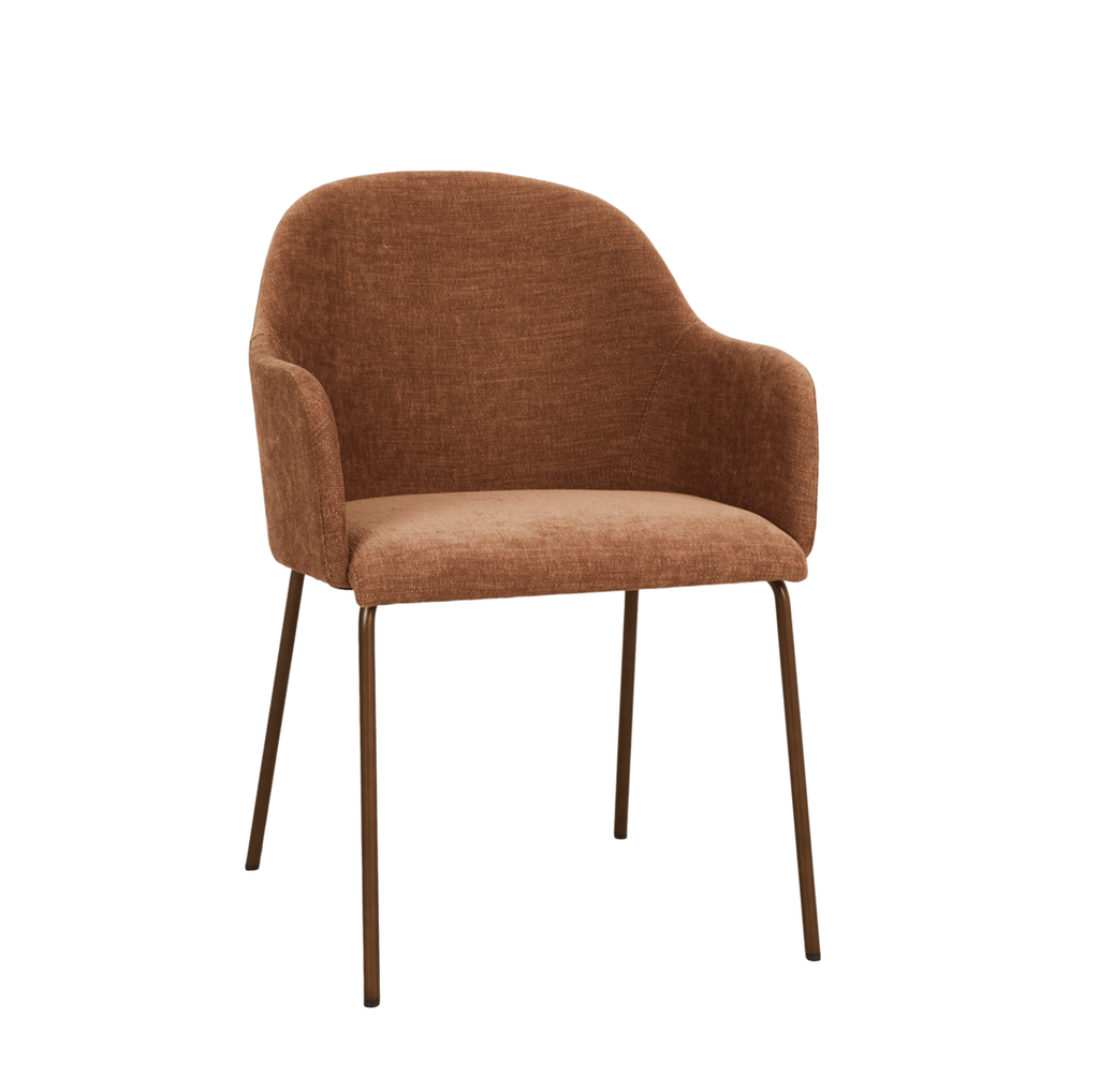 Chaise de salle à manger moderne en acier